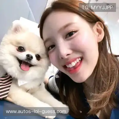 倪影